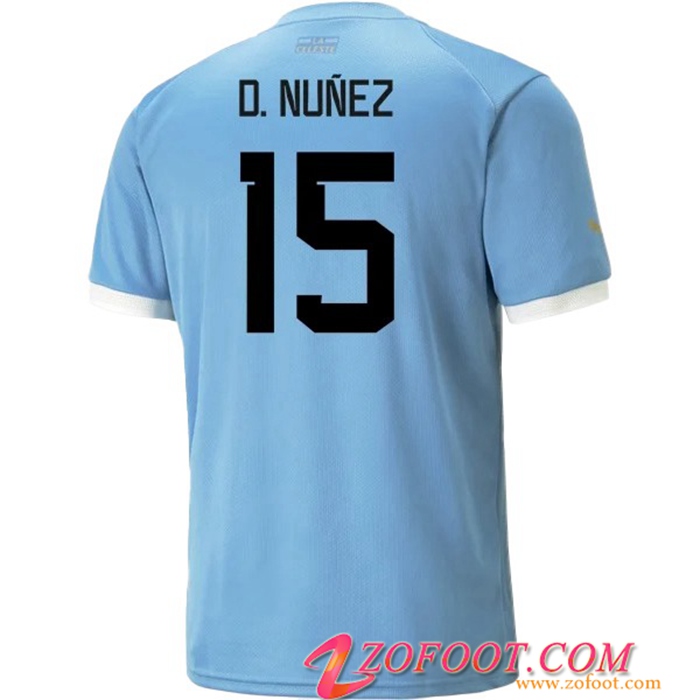 Maillot Equipe Foot Uruguay (F.VALVERDE #15) 2022/2023 Domicile
